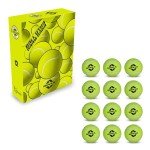Cricket Tennis Balls (Pack of 12)