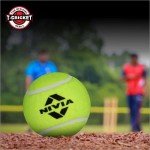 Cricket Tennis Balls (Pack of 12)