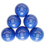 Mozi Sports Wind Cricket Balls - Indoor & Outdoor Soft Training Cricket Ball for Coaching Practice (Blue)