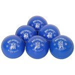 Mozi Sports Wind Cricket Balls - Indoor & Outdoor Soft Training Cricket Ball for Coaching Practice (Blue)