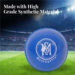 Mozi Sports Wind Cricket Balls - Indoor & Outdoor Soft Training Cricket Ball for Coaching Practice (Blue)