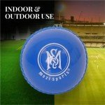 Mozi Sports Wind Cricket Balls - Indoor & Outdoor Soft Training Cricket Ball for Coaching Practice (Blue)