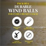 Mozi Sports Wind Cricket Balls - Indoor & Outdoor Soft Training Cricket Ball for Coaching Practice (Blue)