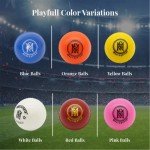 Mozi Sports Wind Cricket Balls - Indoor & Outdoor Soft Training Cricket Ball for Coaching Practice (Blue)