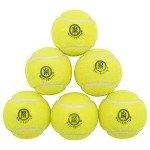 Mozi Sports Cricket Tennis Balls- Heavy Rubber Tennis Balls for Cricket Play Weight 120gm (Yellow)