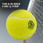 Mozi Sports Cricket Tennis Balls- Heavy Rubber Tennis Balls for Cricket Play Weight 120gm (Yellow)