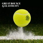 Mozi Sports Cricket Tennis Balls- Heavy Rubber Tennis Balls for Cricket Play Weight 120gm (Yellow)