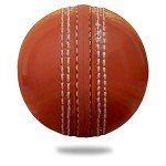 Cricnix Cricket Ball Super PVC Soft Orange 2.8oz (1-Pack) for Backyard and Kids