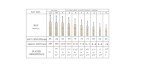 SG RSD Spark Kashmir Willow Cricket Bat, Size 6