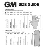 Gunn & Moore GM Aion Cricket Premium Batting Gloves ' Adult Size' (Right Handed)