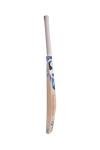 SG Premium HP Spark Kashmir Willow Cricket bat, Endorrsed by Hardik Pandya - Multiple Sizes (Size 4, Size 5, Size 6) (Size 4 - Age 7-10 yrs)