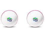 jaspo T-20 Plus Practice PVC Cricket Ball Wind Balls 125-130 GMS for - Indoor Outdoor Street Beach Cricket Pack of 2 White