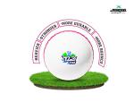 jaspo T-20 Plus Practice PVC Cricket Ball Wind Balls 125-130 GMS for - Indoor Outdoor Street Beach Cricket Pack of 2 White