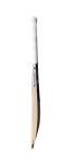 SG HP Spark Kashmir Willow Cricket Bat 100% Original Free Cover Full Size HARDIK Pandya Style