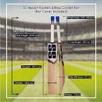 SS Kashmir Willow Full Size Cricket Bat with Cover