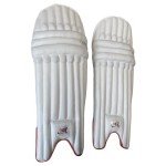 Ambidextrous Cricket Batting Pads for All Players