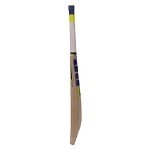 SS Super Power Short Handle Kashmir Willow Bat
