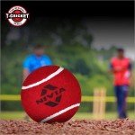 Nivia Heavy Red Tennis Cricket Ball - Single