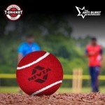 Nivia Heavy Red Tennis Cricket Ball - Single