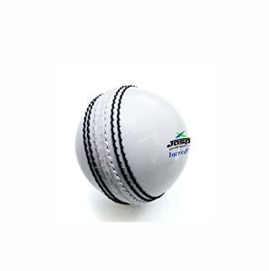 jaspo Incrediball Soft T20 Cricket Training Ball-1 Ball Indoor Outdoor Play and Cricket Practice 229 Cm Circumference, PVC Material, Colour- White