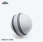 jaspo Incrediball Soft T20 Cricket Training Ball-1 Ball Indoor Outdoor Play and Cricket Practice 229 Cm Circumference, PVC Material, Colour- White