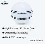 jaspo Incrediball Soft T20 Cricket Training Ball-1 Ball Indoor Outdoor Play and Cricket Practice 229 Cm Circumference, PVC Material, Colour- White