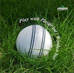 jaspo Incrediball Soft T20 Cricket Training Ball-1 Ball Indoor Outdoor Play and Cricket Practice 229 Cm Circumference, PVC Material, Colour- White