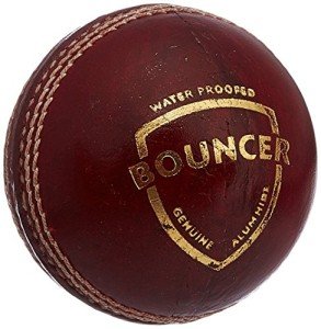 SG Bouncer Leather Cricket Ball for Adults