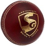 SG Bouncer Leather Cricket Ball for Adults