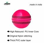 jaspo Incrediball Soft T20 Cricket Training Ball Quantity-1 Indoor Outdoor Play and Cricket Practice 229 Cm Circumference, PVC Material, Colour-Pink