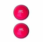 jaspo Incrediball Soft T20 Cricket Training Ball Quantity-1 Indoor Outdoor Play and Cricket Practice 229 Cm Circumference, PVC Material, Colour-Pink
