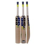 SS Super Power Short Handle Kashmir Willow Bat