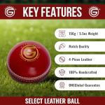 ONEGlobal Select Leather Cricket Ball | 100% Handcrafted, 156g - 5.5oz, 4-Piece Construction | Ideal for T20, Net Practice, Training etc. (Red, 1 Pack)