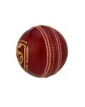 SG Bouncer Leather Cricket Ball for Adults
