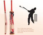 Kashmir Willow Leather Ball Cricket Bat, Exclusive Cricket Bat for Adult Full Size with Free Best Bat Cover & Protection Sheet