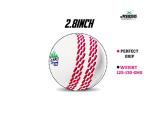 jaspo Synthetic Rubber T-20 Plus Practice Cricket Ball Wind Balls 125-130 GMS for - Indoor Outdoor Street Beach Cricket White