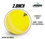 jaspo T20 Plus Practice Cricket Balls Pack of 3 for Indoor Outdoor Play,Weight 125-1 30 GMS, Colour Yellow, Synthetic Rubber Material