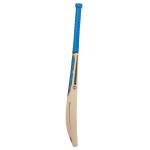 SS GG SMACKER Blaster English Willow Premium Cricket bat, Adult Size- Short Handle, Includes Bat Cover