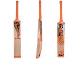 Kashmir Willow Leather Ball Cricket Bat, Exclusive Cricket Bat for Adult Full Size with Free Best Bat Cover & Protection Sheet (Orange Sticker)