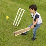 GANAZONO Kids Cricket Set: 4pcs Foam Cricket Bat with Balls Plastic Baseball Bat Exercising Bat Backyard Cricket Sets Baseball Training Game for Kids Adult