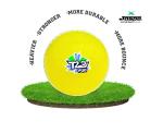 jaspo Synthetic Rubber T-20 Plus Practice Cricket Ball Wind Balls 125-130 GMS for - Indoor Outdoor Street Beach Cricket Yellow