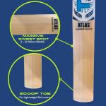 Titan Grade 1 Kashmir Willow Atlas Cricket Bat, Premium Handcraft Design, Rubber Grip, Concave Back Profile, Semi-Round Bottom, Full Size, Two Heavy Tennis Balls Free - Grade 1 Willow Cricket Bat