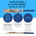 Titan Grade 1 Kashmir Willow Atlas Cricket Bat, Premium Handcraft Design, Rubber Grip, Concave Back Profile, Semi-Round Bottom, Full Size, Two Heavy Tennis Balls Free - Grade 1 Willow Cricket Bat