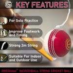 ONEGlobal Incrediball Soft String Cricket Ball | Outdoor and Indoor Soft Hanging Cricket Ball for Practice | for Footwork, Timing and Solo Training (1-RED&White)