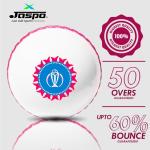 jaspo Revive (World Cup Edition) PVC Cricket Ball Only-Durable and Ideal for All Age Groups Boys Girls Kids and Adults, Multicolour