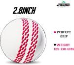 jaspo Revive (World Cup Edition) PVC Cricket Ball Only-Durable and Ideal for All Age Groups Boys Girls Kids and Adults, Multicolour