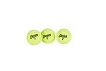 Penn Championship Extra Duty Tennis Balls - 12 Count