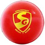 SG 'Everlast' Synthetic Cricket Leather Ball - Pack of 5