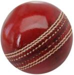 Medieval Armour Cricket Ball, Red Leather, Small (1)