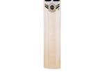 TABAKH SS Soft Pro Premium Kashmir Willow Leather Ball Cricket Scoop Bat Adult Size - Short Handle (Cover Included)